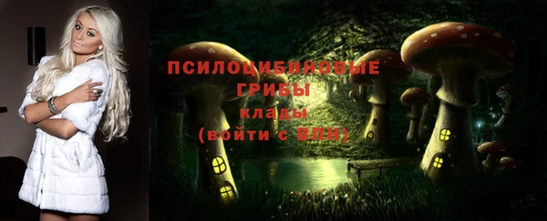 винт Бугульма