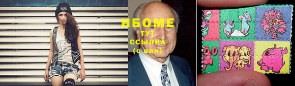 твердый Бородино