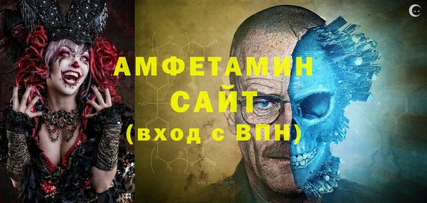 твердый Бородино