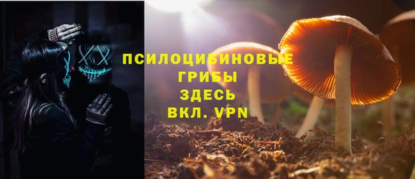 твердый Бородино