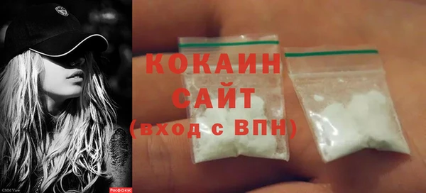твердый Бородино