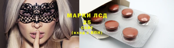твердый Бородино