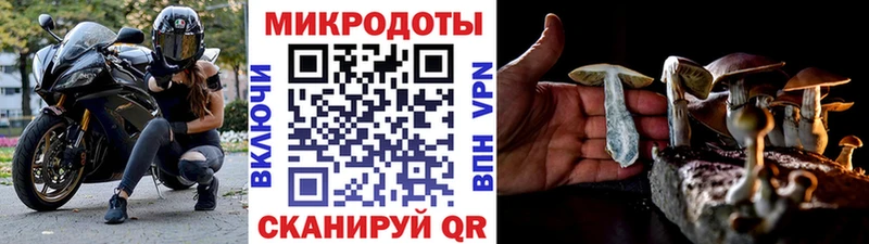 Галлюциногенные грибы мицелий  наркотики  Салават 